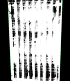 result_step10